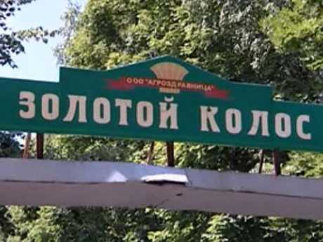 В оздоровительном лагере в Чувашии вожатые мучили детей и снимали это на видео