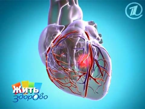 дробное правильное питание для похудения дробное правильное питание для похудения