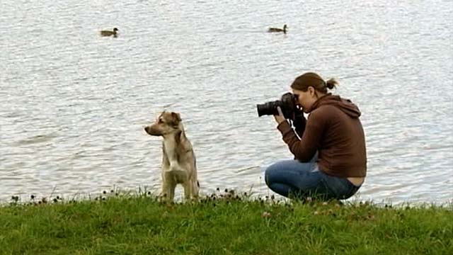 В Белоруссии собака бегает с фотоаппаратом и делает удивительные снимки