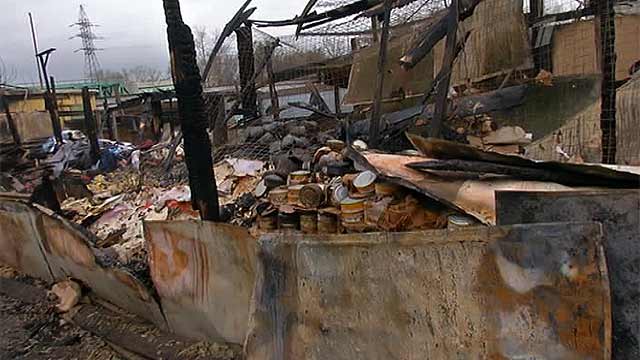 В Москве подожгли приют для бездомных животных