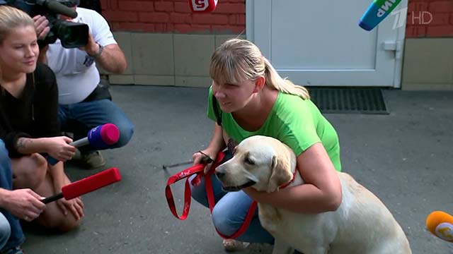 Собаку-поводыря вернули слепой девушке