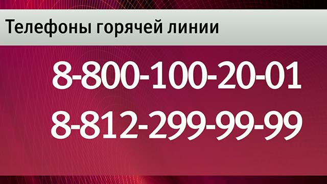 МЧС открыло «горячую линию» для родственников пассажиров разбившегося лайнера