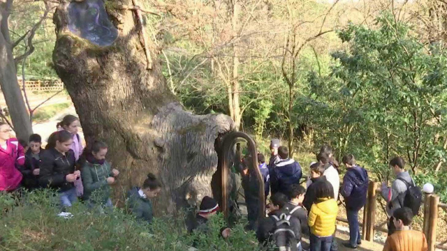 Фото с сайта Первого канала