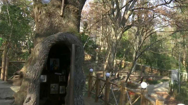 Фото с сайта Первого канала